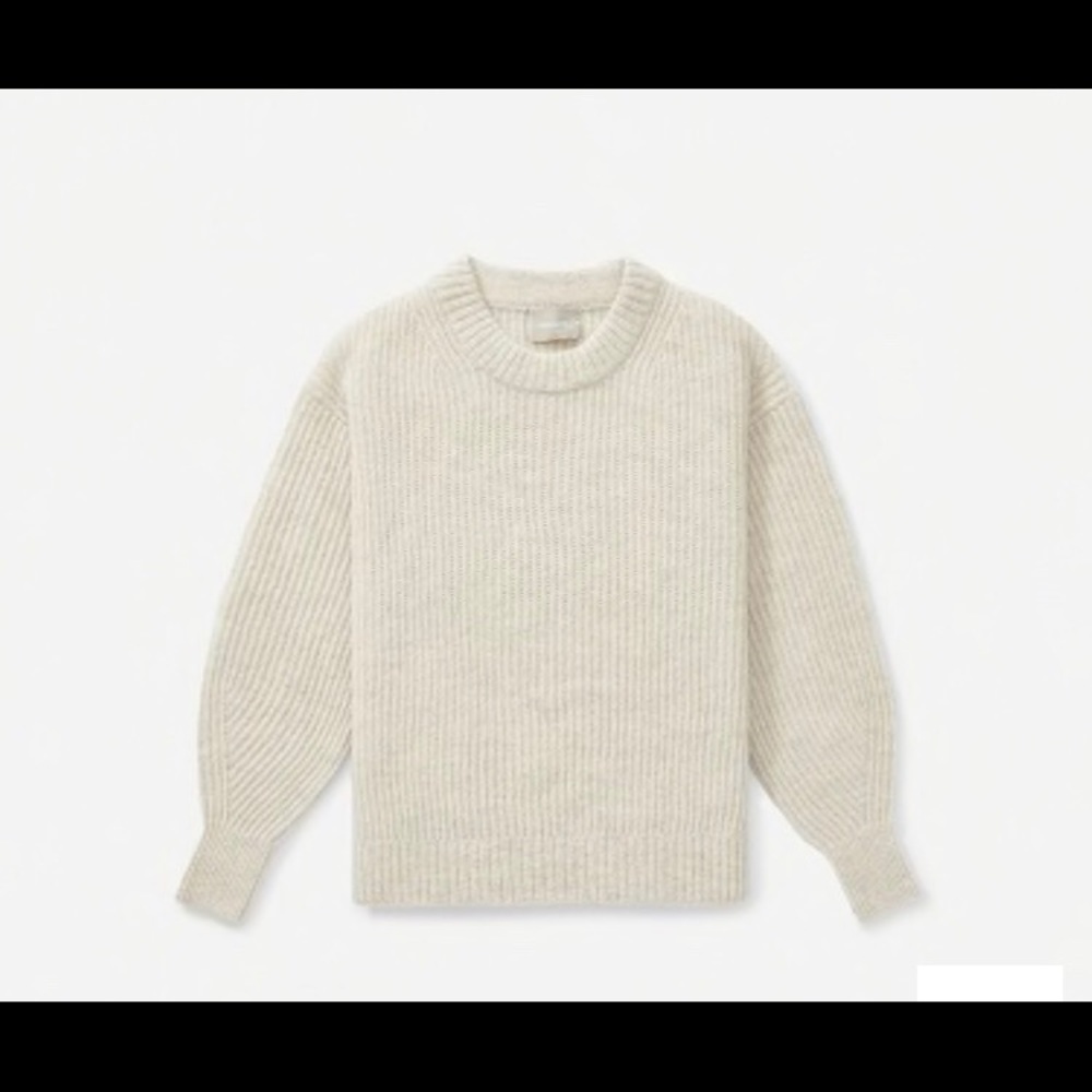 Everlane Oversized Alpaca Crew